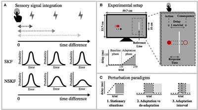 Decreased Temporal Sensorimotor Adaptation Due to Perturbation-Induced Measurement Noise